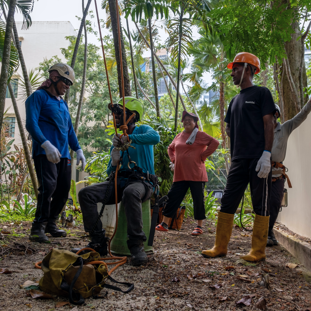 Workers happily working